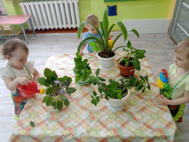 Уход за комнатными растениями 💐 Уход за комнатными растениями 💐.