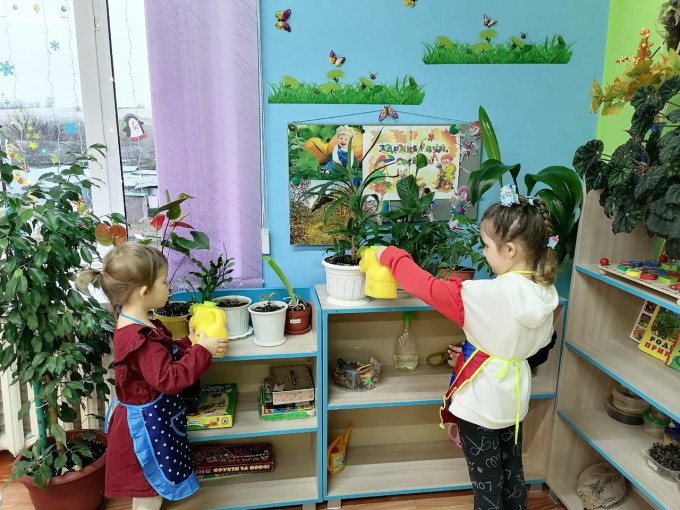 Уголок природы Уголок природы.